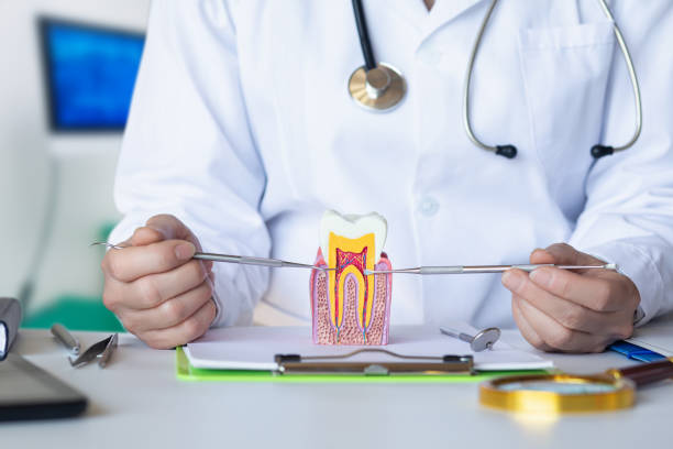 Best Root Canal Emergency Dentist  in Hays, MT